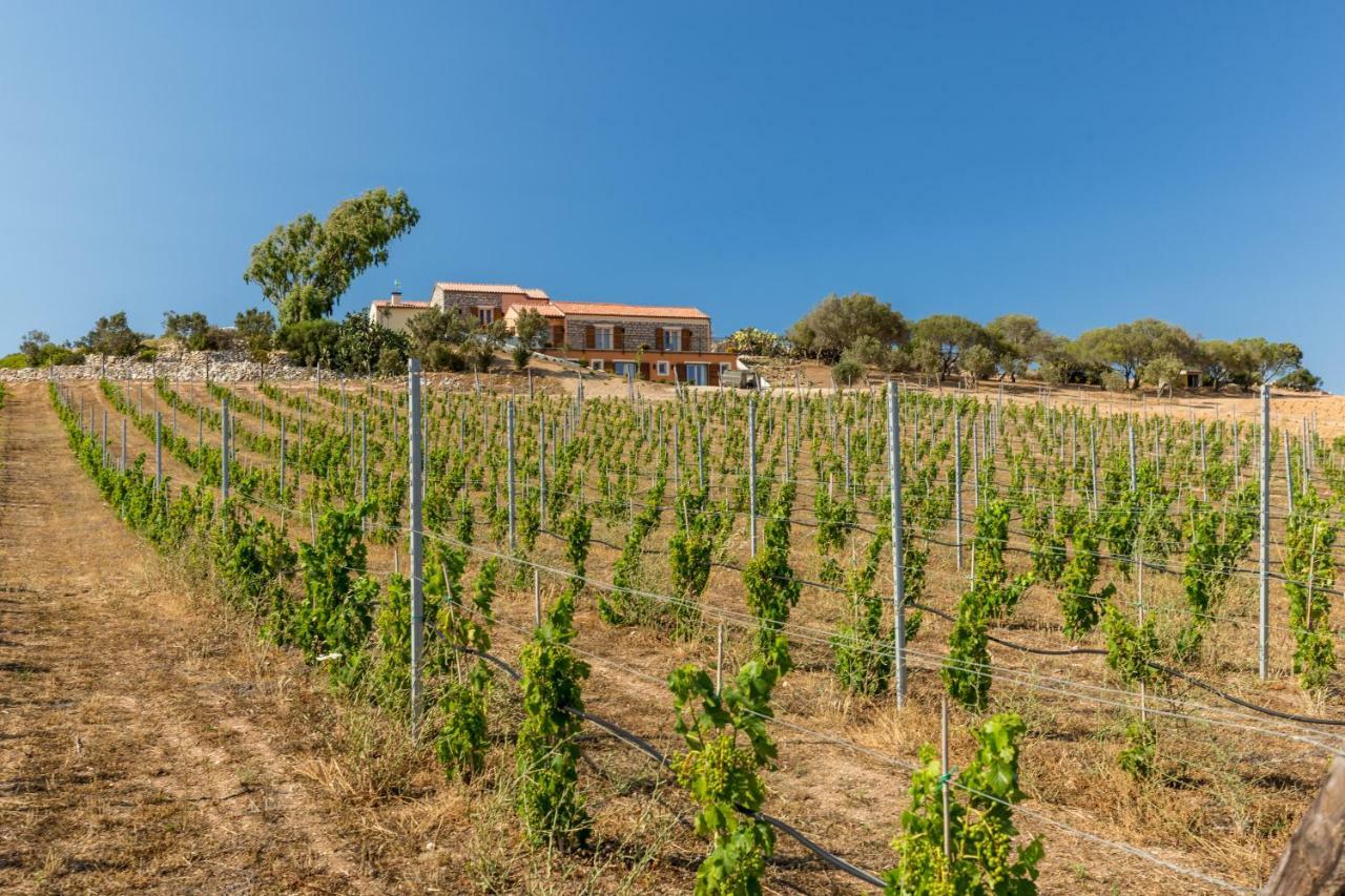 Tenuta Petra Bianca Palau Εξωτερικό φωτογραφία
