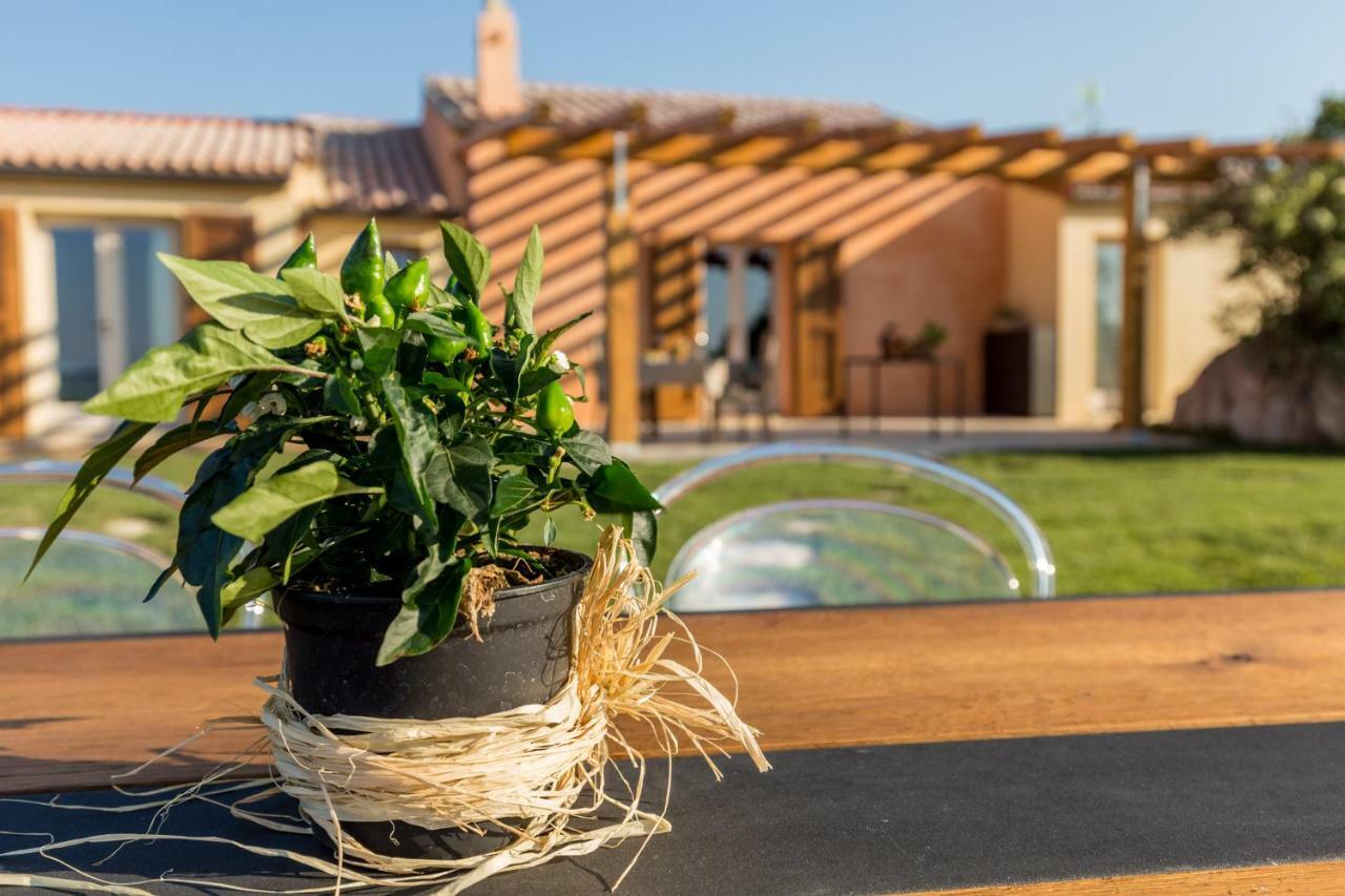 Tenuta Petra Bianca Palau Εξωτερικό φωτογραφία