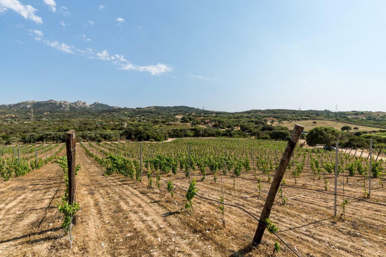 Tenuta Petra Bianca Palau Εξωτερικό φωτογραφία