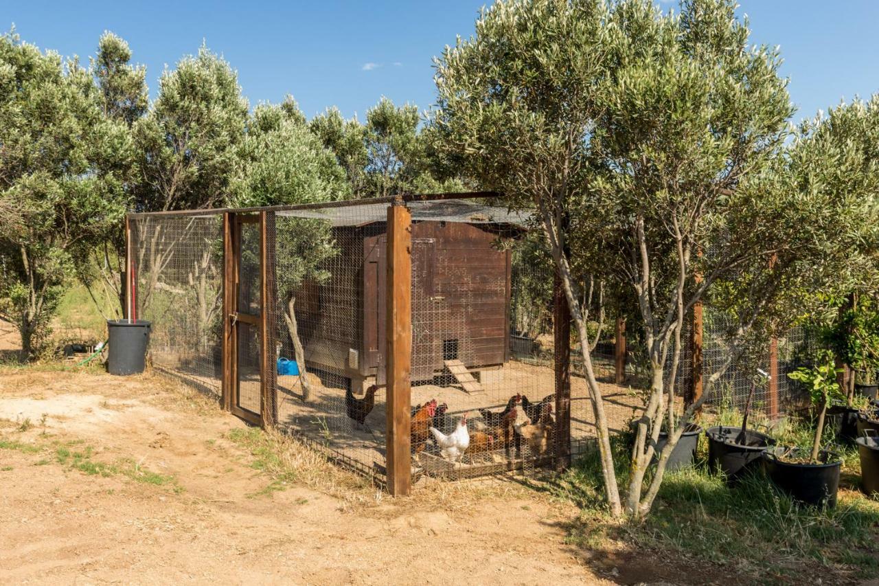 Tenuta Petra Bianca Palau Εξωτερικό φωτογραφία
